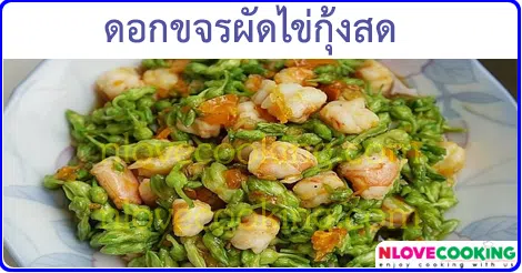 ดอกขจรผัดไข่กุ้งสด เมนูผัด เมนูกุ้ง อาหารไทย